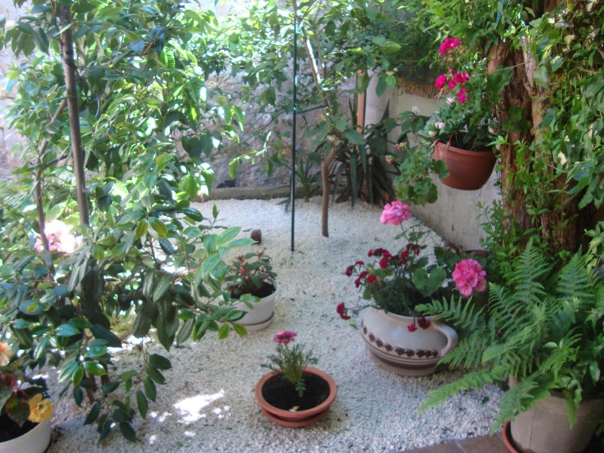 Studio Apartment Lile Trstenik  Exterior foto